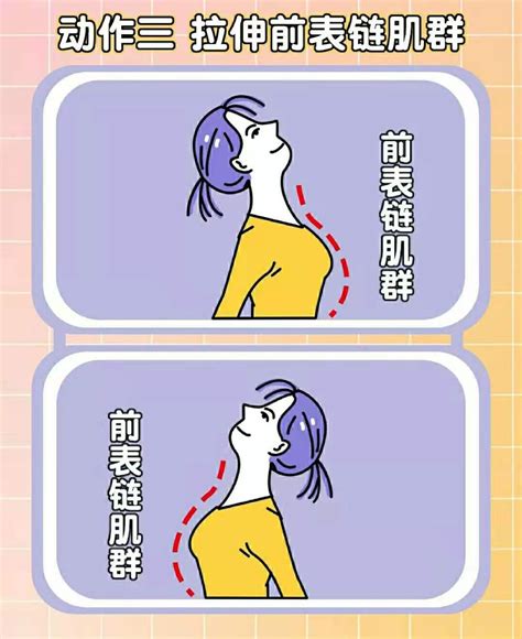 脖子解説